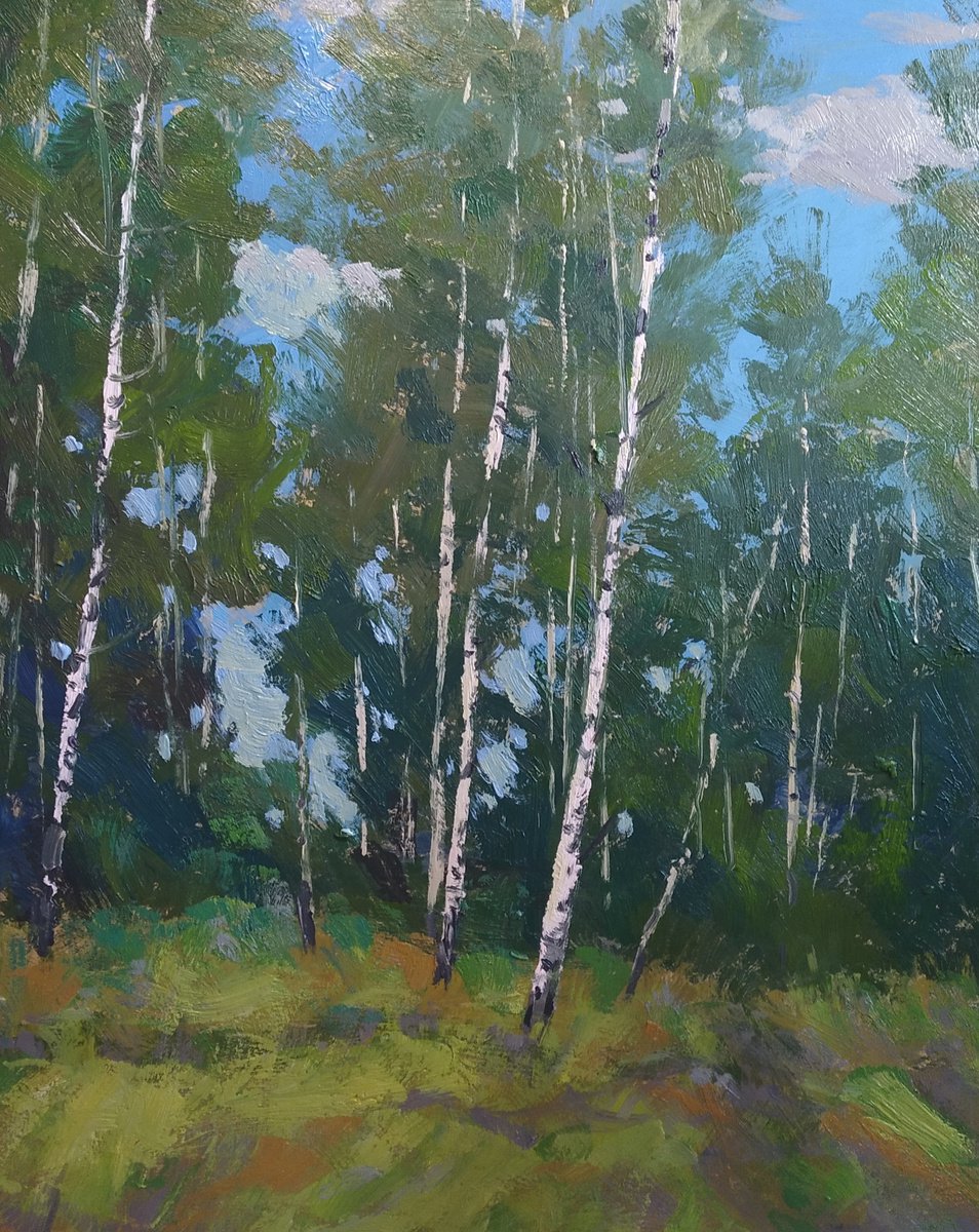 Birch trees by Sergey Kachin