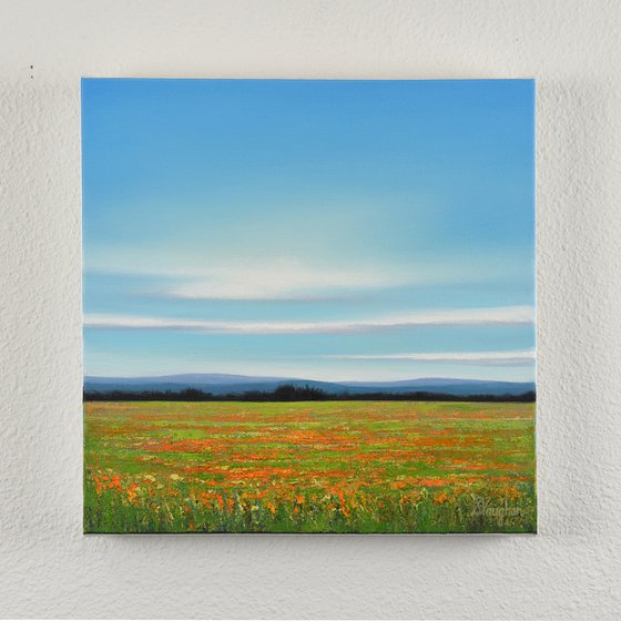 Flower Field - Blue Sky Landscape