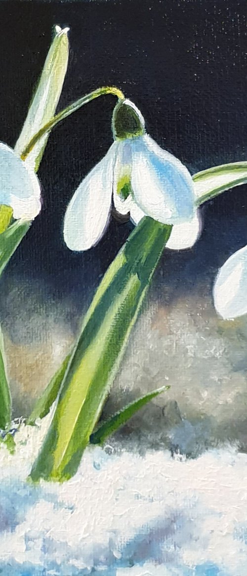 "Gentle May."  flower  liGHt original painting  GIFT (2021) by Anna Bessonova (Kotelnik)