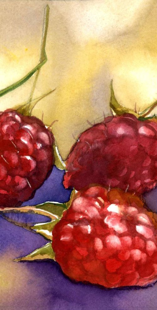 Wild Raspberry Watercolor by Alfred  Ng