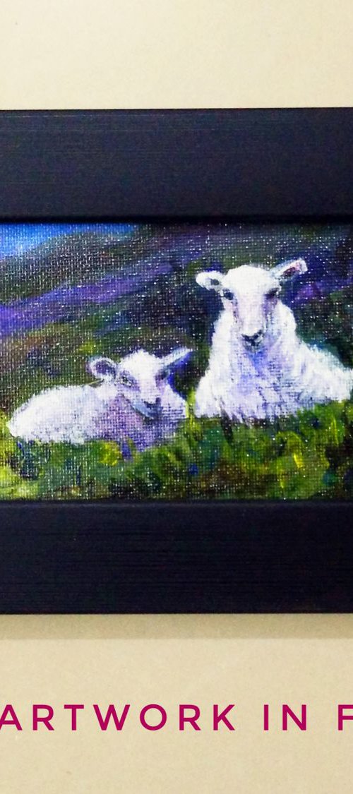 Mary's Little Lambs on the hills by Asha Shenoy