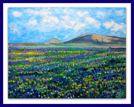 Lanzarote Landscape I