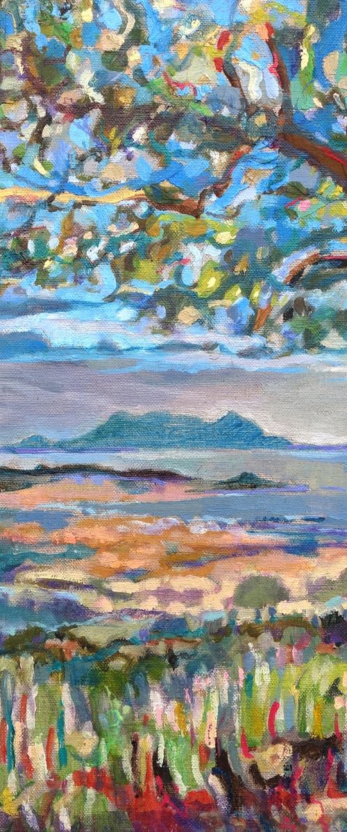 Above Olbia by Guy  Pickford