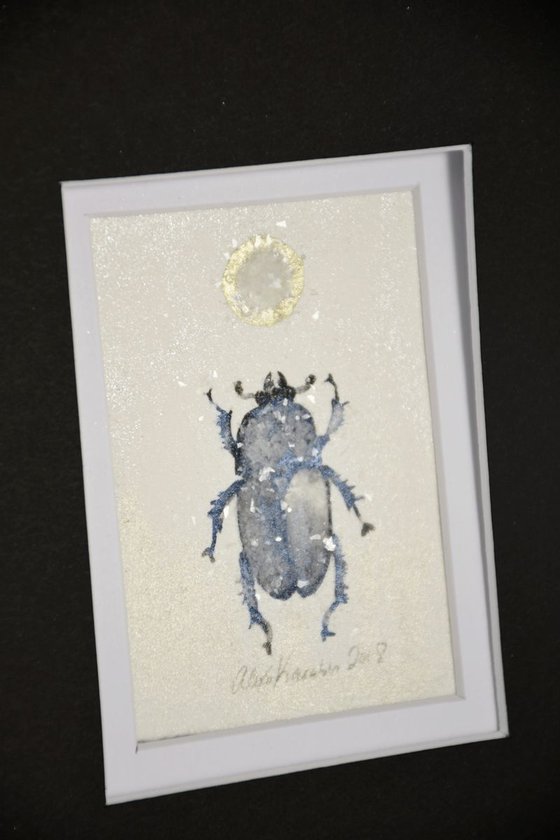 Blue Beetle (Lamprima Adophinae)