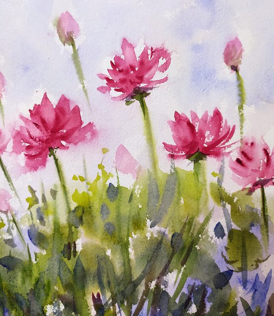 Crimson water lilies -  Waterlilies- Lotus in watercolours on paper