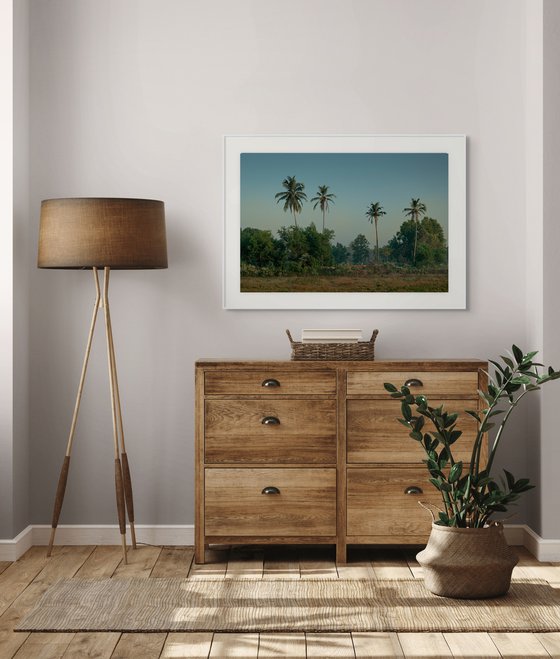 Four Palms