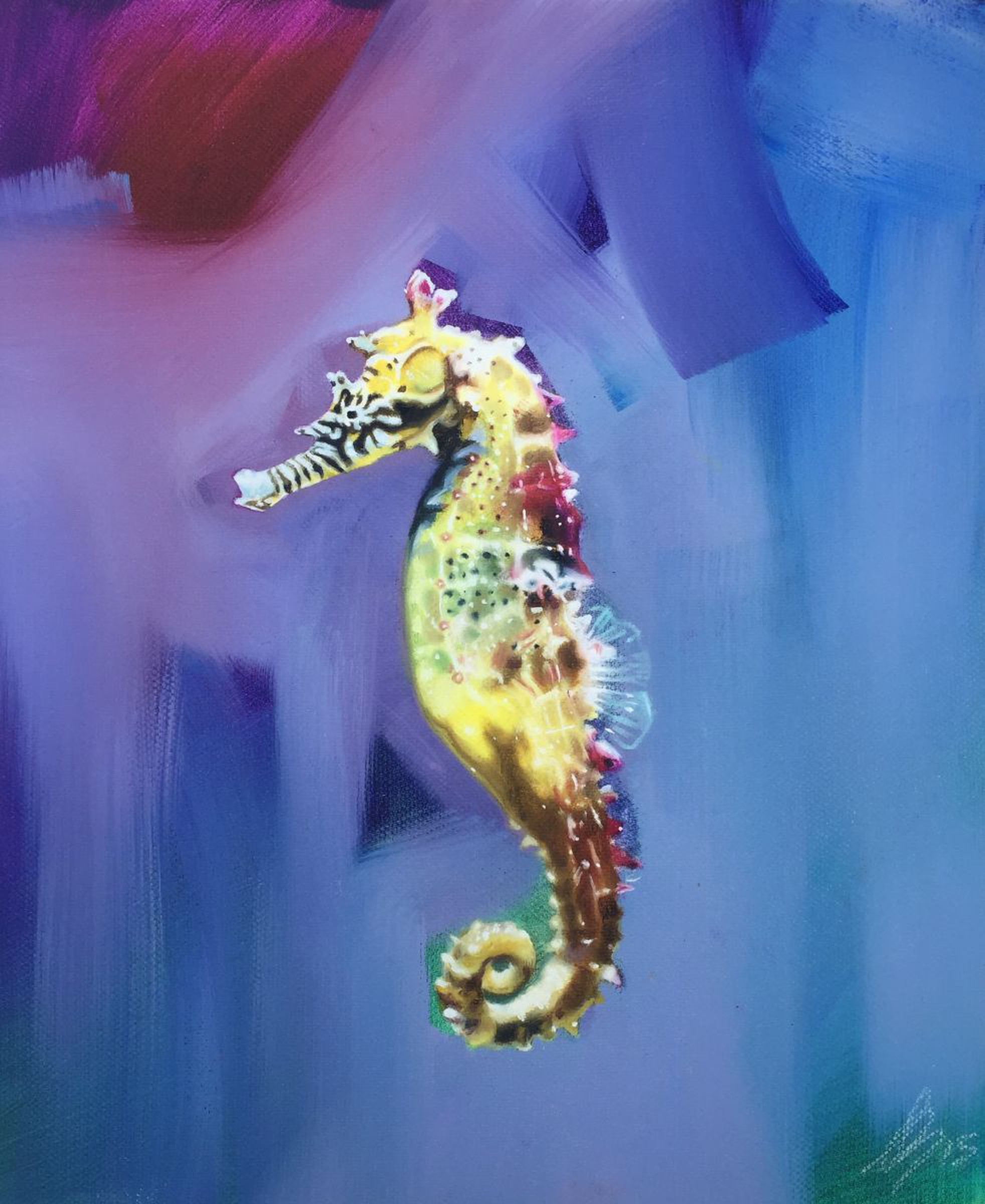 Seahorse 2015 Oil Painting By Jessica Bleasby Artfinder