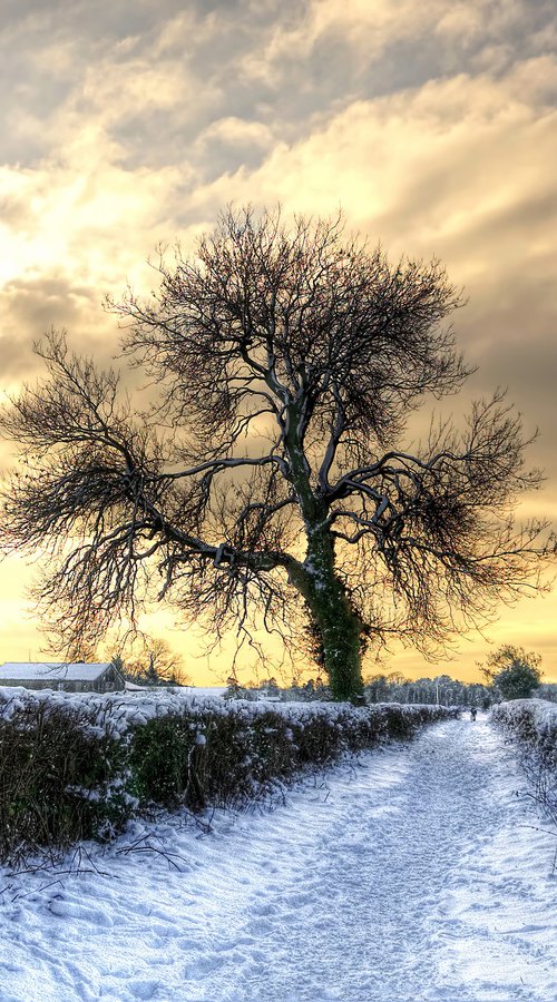 Winter Wonderland by Paul Englefield