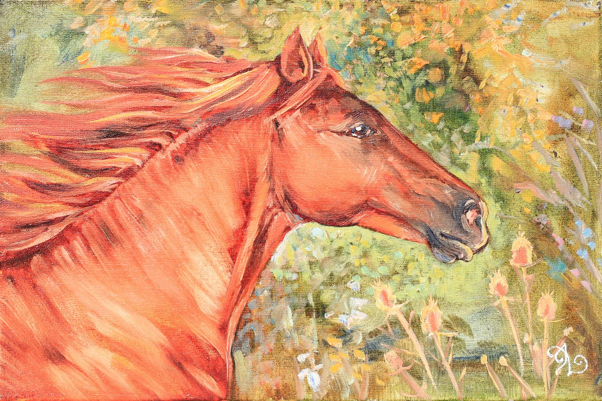 Daisy  (horse close up) by Elina Vetrova