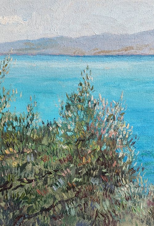 Olive trees, sea and sky by Alexandra Bari