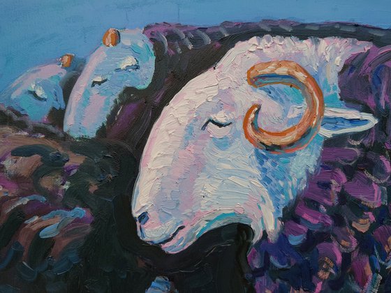Pastoral Devotion