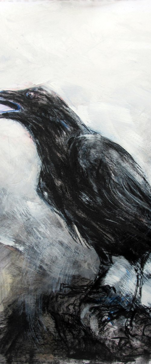 Raven, Dow Crag, Cumbria 2 by John Sharp
