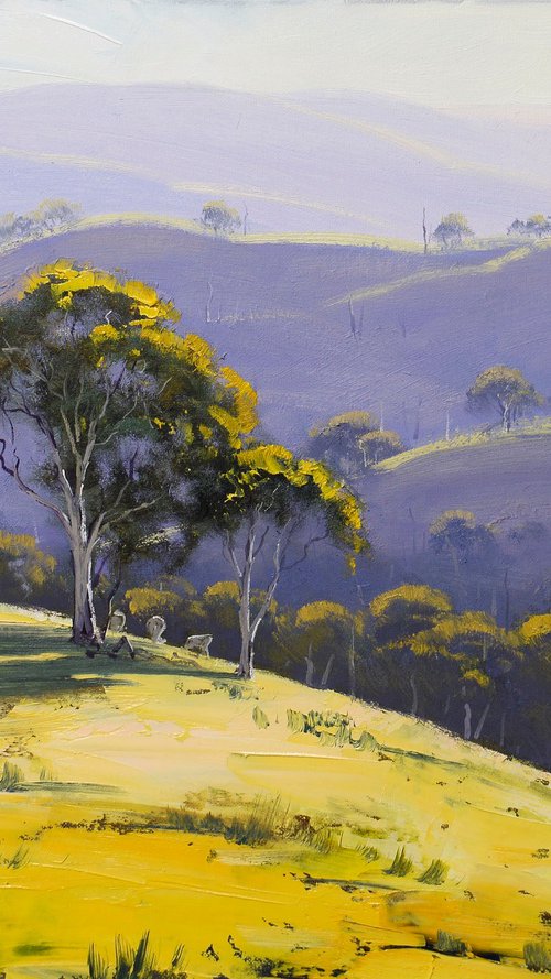 Afternoon light Lithgow by Graham Gercken