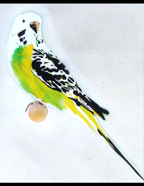 Grandma's other budgie (on The Daily Telegraph) + free poem. by Juan Sly