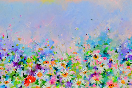 White Daisy and Red Poppy Field