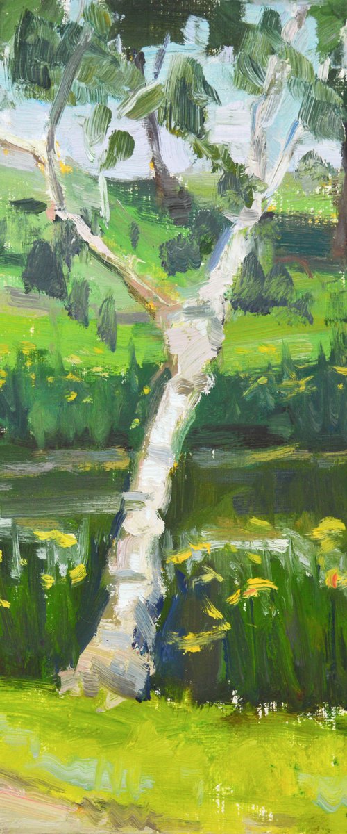 Graceful Birch by Kristina Sellers