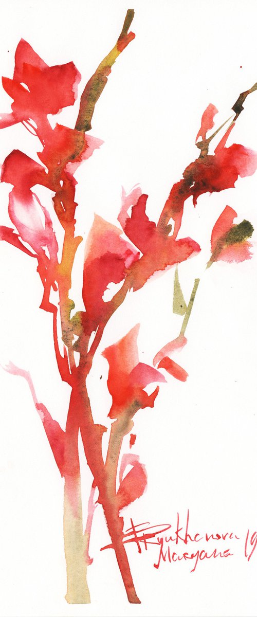 RED GLADIOLUS. RED FLOWERS. WATERCOLOR PAINTING by Mariana Briukhanova