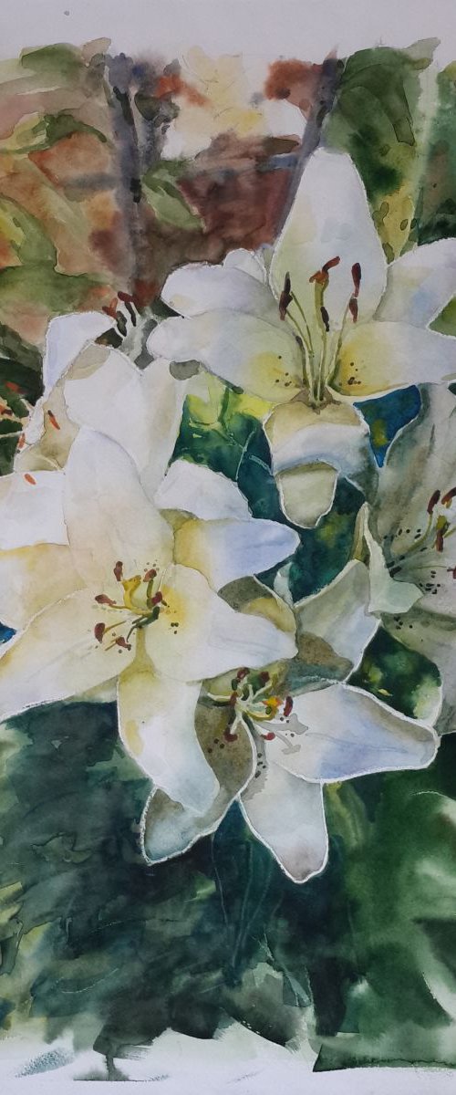 White lilies by Yurii Pashkov