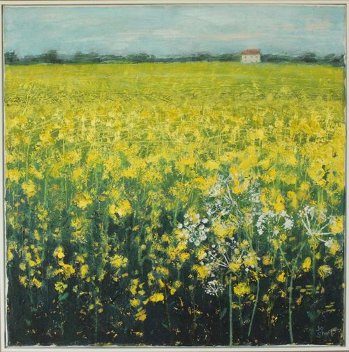 A field of oil seed rape by Jo Sharpe