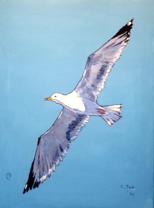 Seagull #11 by Colin Ross Jack