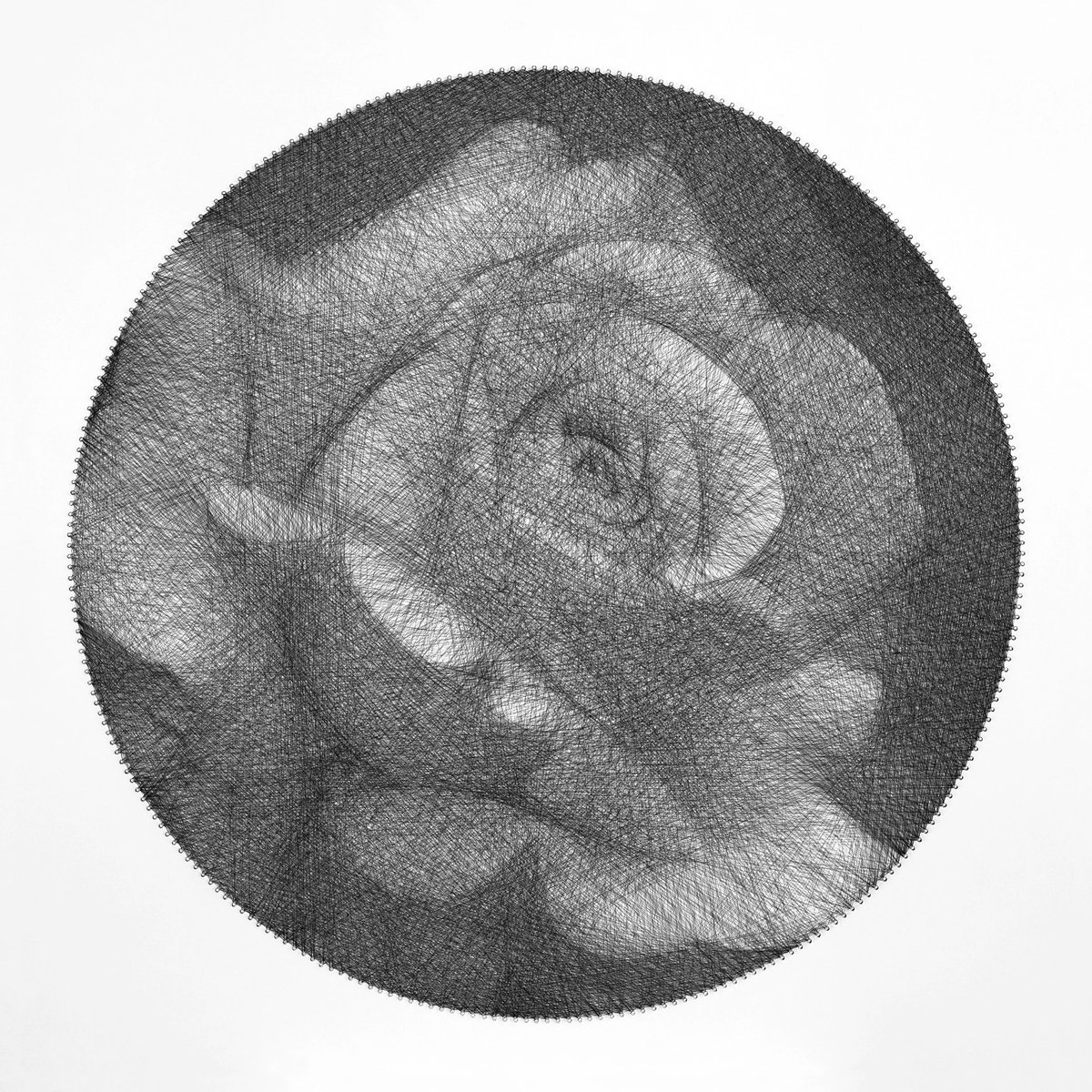 Botanical Sculpture By Andrey Saharov, 30 X 30, White Rose, Original Artwork