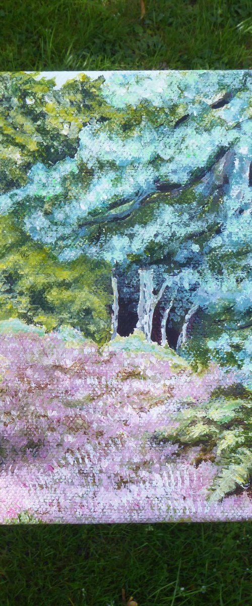 Bolderwood, The New Forest by Jacqueline Talbot