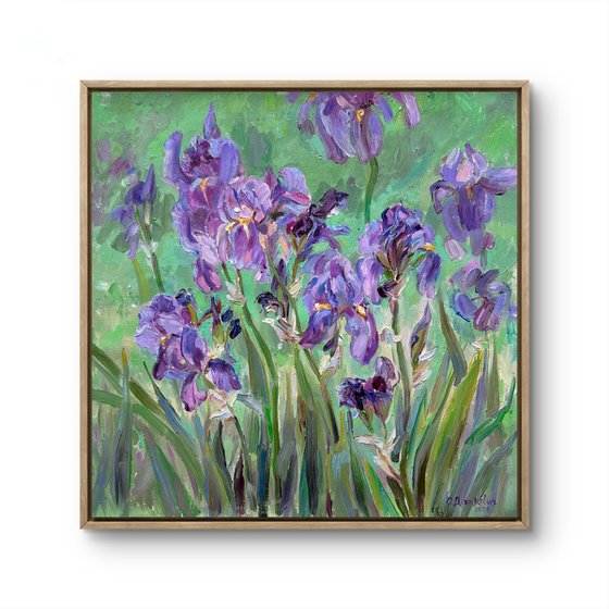 «Irises»