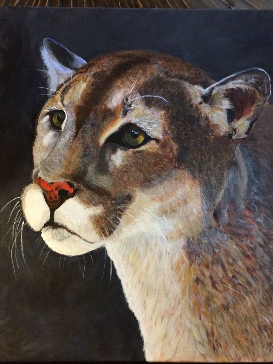 CLIVE - COUGAR by ELAINE ASKEW