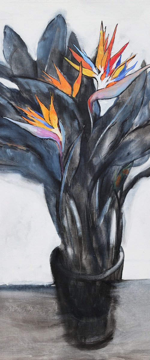 Strelitzia (bird of paradise) by Artem Andreichuk