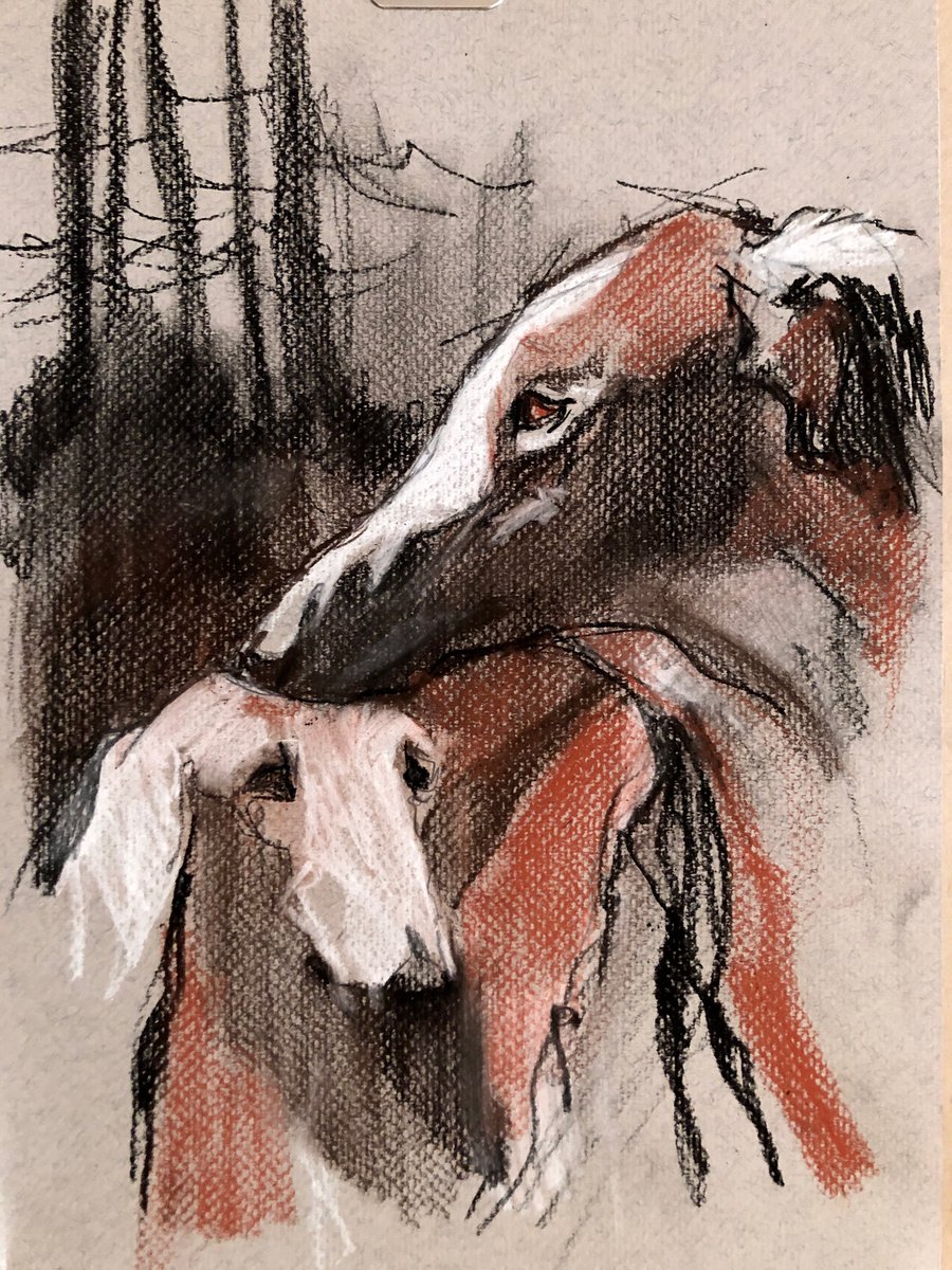 Borzoi by OLGA BELOBORODOVA