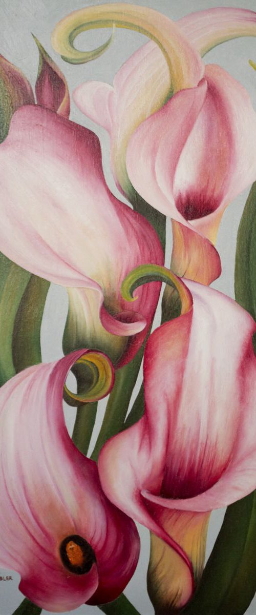 Pink Calla Lilies - Framed Oil Painting by Charlotte Ambler