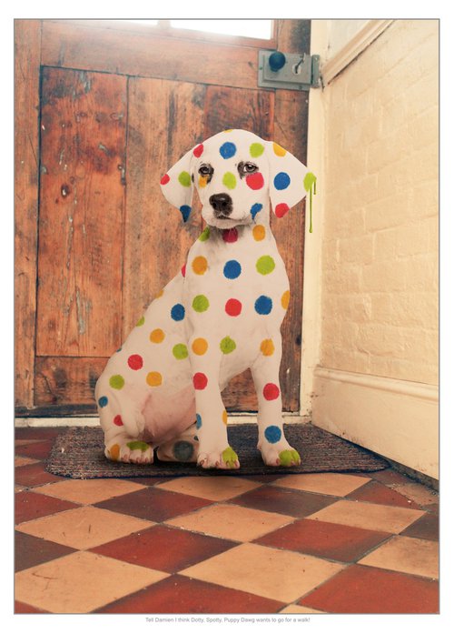 Tell Damien I think Dotty, Spotty, Puppy Dawg wants to go for a walk! by Juan Sly