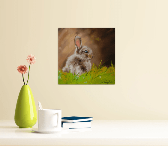 Baby Bunny in Grass