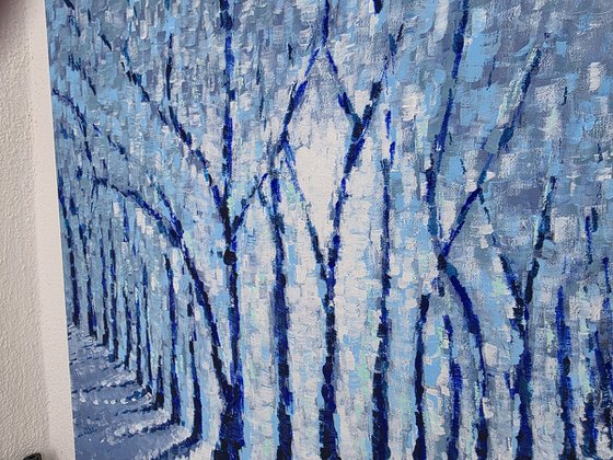 The Last Glow of Winter