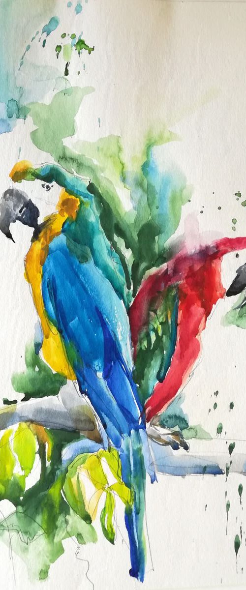 Tropical Island by Jelena Djokic