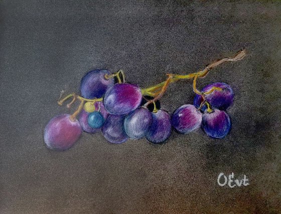 Sicilian black grapes.  24x18 cm. From life. Uve nere siciliane.