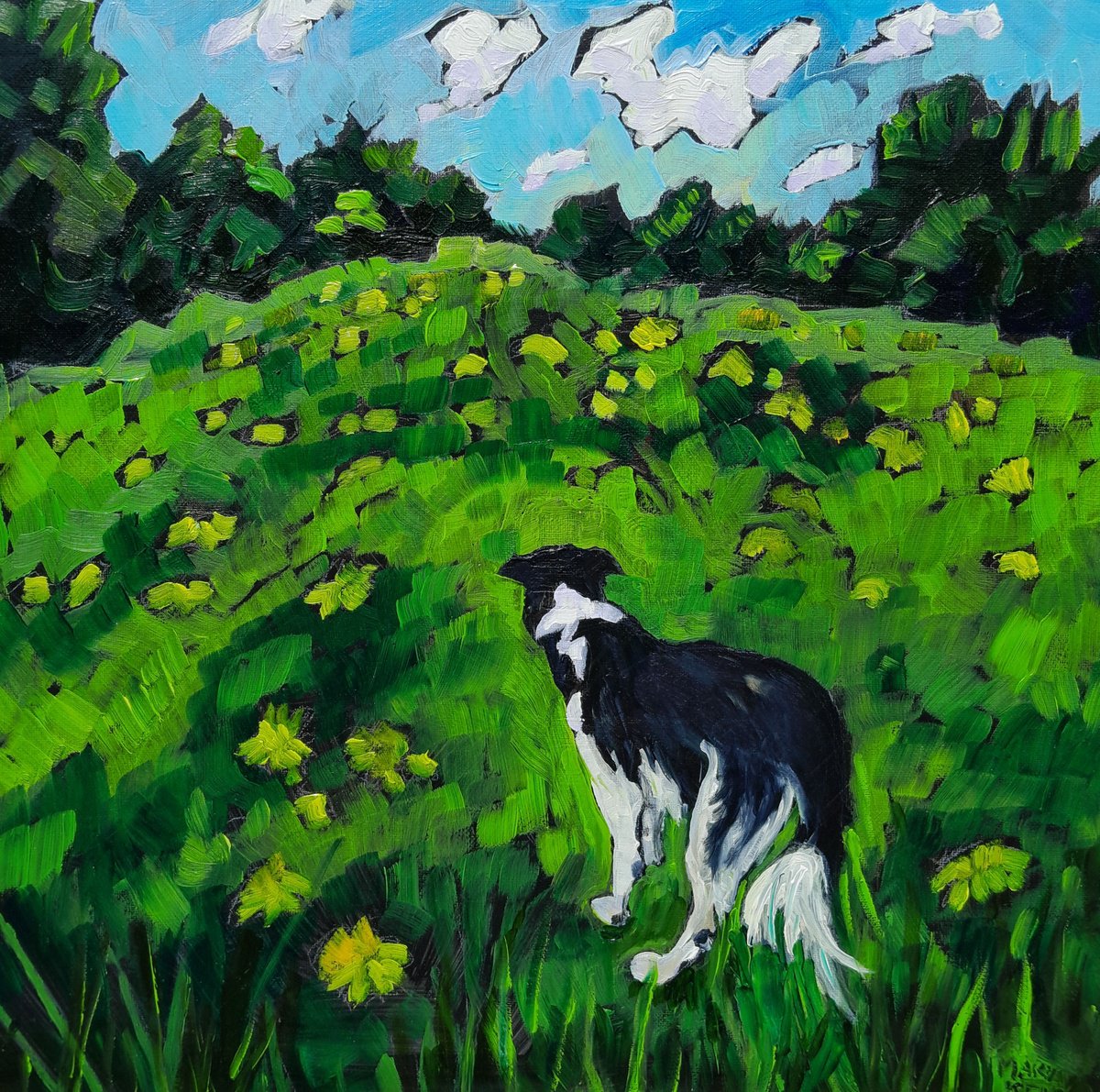 Impressionistic Animal Oil Painting By Mary Kemp, 12 X 12", Border Collie Paradise, Original Artwork