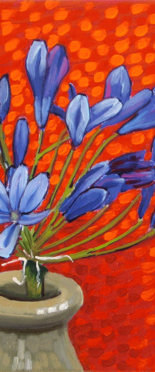 Agapanthus by Richard Gibson