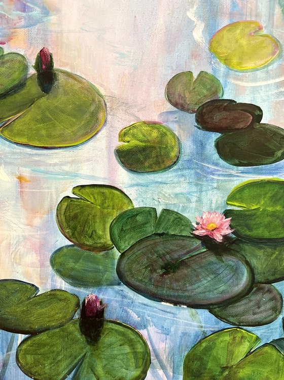 Water Lilies 6