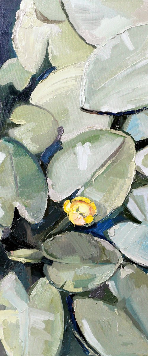 Water lily by Yuliia Meniailova