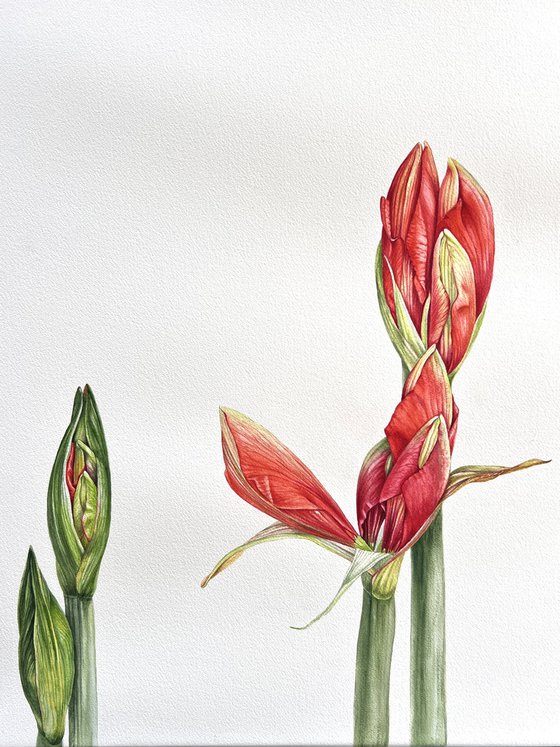 Algorithms of flowering.