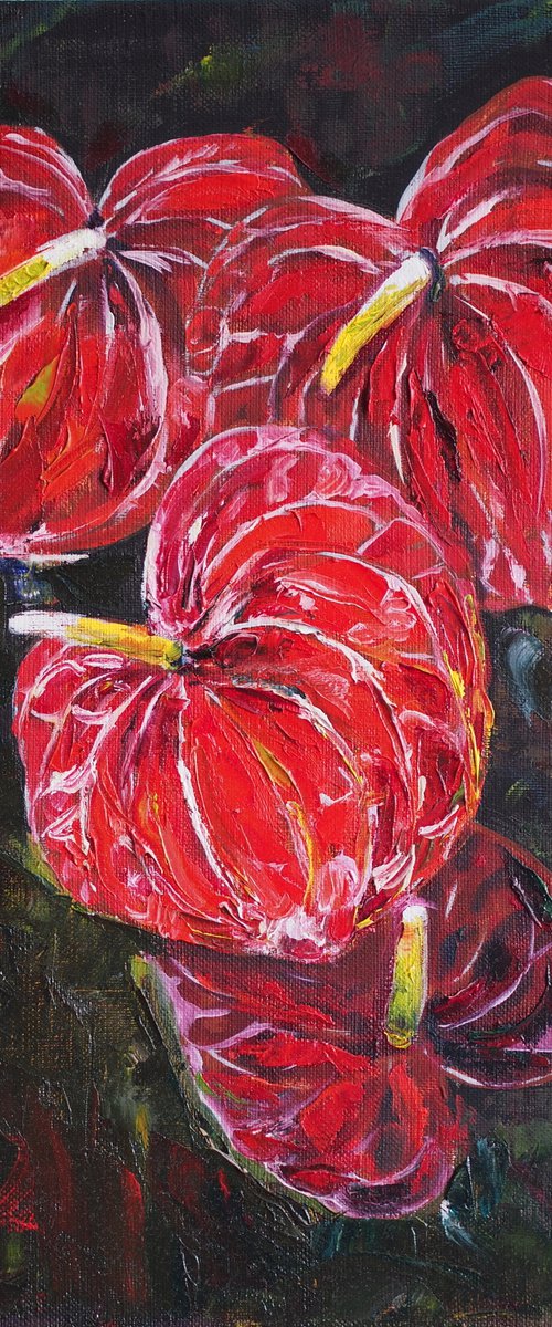 Red anthurium flower by Alfia Koral