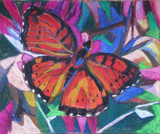 Butterfly 1 / 39.5 X 32.9 cm