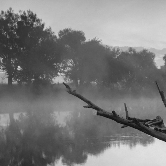Over the quiet river. Misty morning.