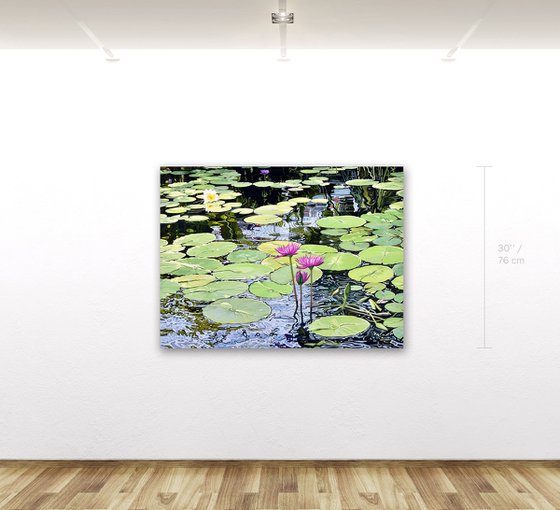 Lily Pond In Golden Gate Park