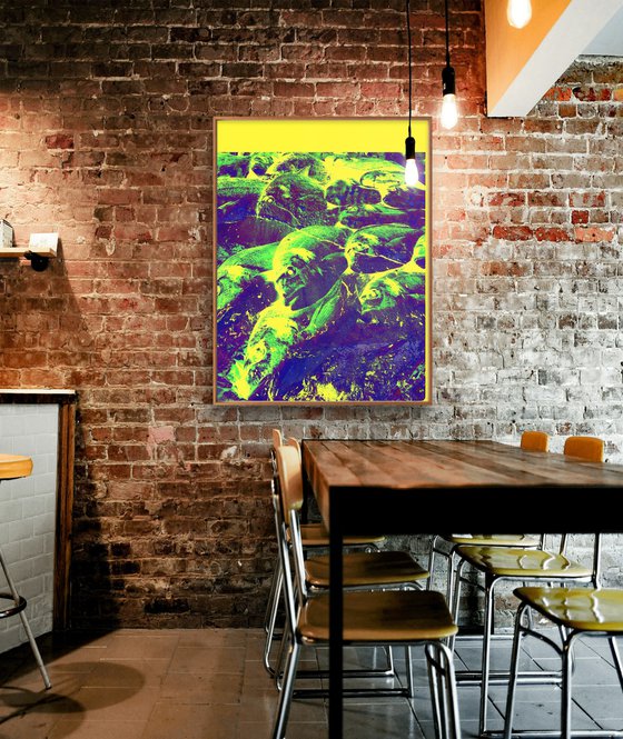 Digital collage Colorful Fish