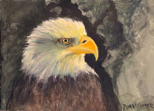 Eagle Study by Ryan  Louder