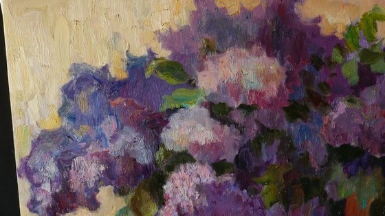 Lilacs 1