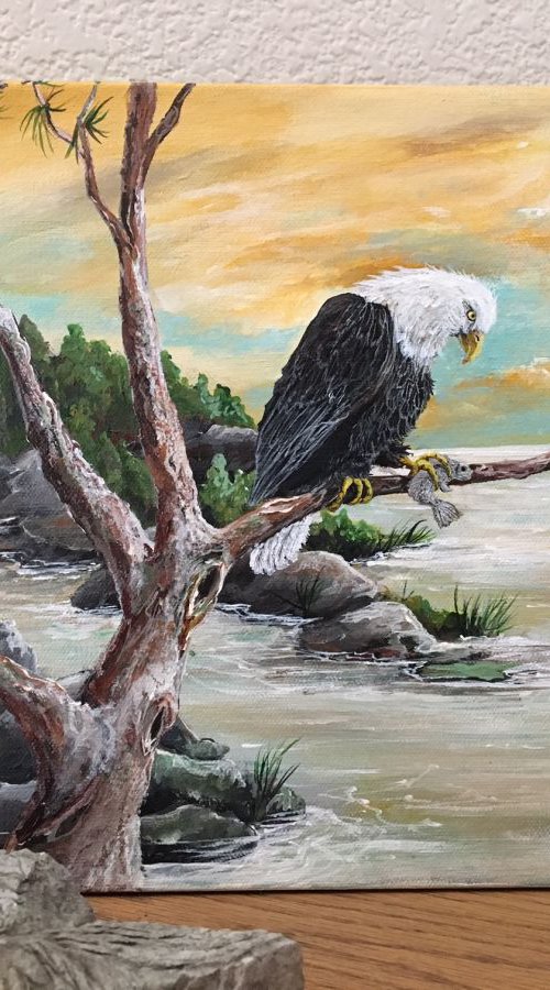 Catch at Dawn by Donna Daniels