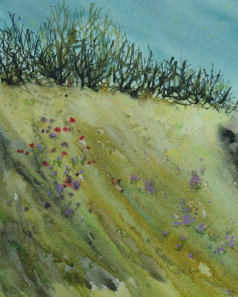 Impressionistic Botanical Watercolour By Jane Denton, 9 X 13, Cornish Hedgerow, Original Artwork
